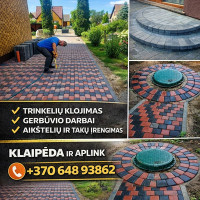 Karolis vidauskis Trinkelių Klojimas