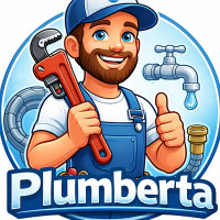 Paulius Jasiulevicius Asmeninis santechnikas