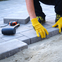 Alfredas Trinkeliu Klojimas