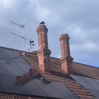 Svajūnas Kaškonas Kaminų valymas, įdėklų montavimas.