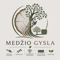 Medžio Gysla Medžiu pjovimas ,Genėjimas ,gyvatvorių formavimas