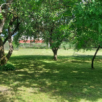 Rimvydas Kvikas Žolės pjovimas, skarifikavimas bei kiti aplinkos darbai