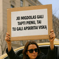 Dainius Mester Surinkimas/montavimas baldu ir kiti smulkus darbai