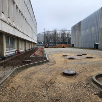 Ripinskis ir Ko Trinkelių klojimas/bortų dėjimas/gerbūvis