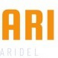 Aridel Vidaus apdailos darbai