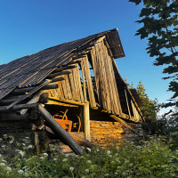 Markas Zagorskis Griovimo/demontavimo darbai