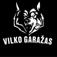Vilkas Automobilio sausas/cheminis salono detailingas