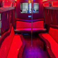Party bus Sprinter Party bus Sprinter