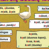 Lietuvių kalbos papildomos pamokos gyvai ir internetu