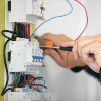 Elektos darbai Elektos darbai