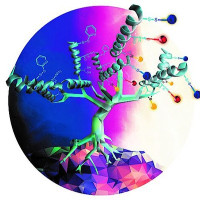 Domantas Naruševičius Chemijos korepetitorius visoje Lietuvoje