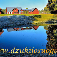 Dzūkijos uoga Dzūkijos uoga