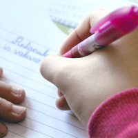 Lietuvių kalbos korepetitorė Vilniuje