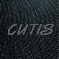 Povilas CUTIS Povilas CUTIS