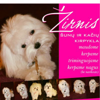 Ramutė Sudeikienė Ramutė Sudeikienė