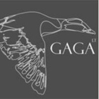 Gaga lt komanda Gaga lt komanda