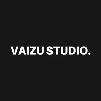 Vaizu Studio Interjero Dizainas / 3d Vizualizacijos / Brėžiniai