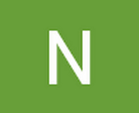 Muitinės tarpininkai - Muitinės tarpininkas