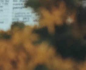 Paslaugos verslui - Teisinės paslaugos fiziniams ir juridiniams asmenims