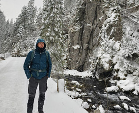 Medžiais, krūmais apaugusių sklypų pjovimo darbai. - Medžių genėjimas, pjovimas Medžių genėjimas, pjovimas - Medžiais, krūmais apaugusių sklypų pjovimo darbai.