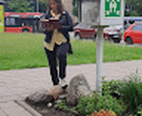 Aplinkos tvarkymas, apželdinimas - Услуги по уходу и озеленению участка