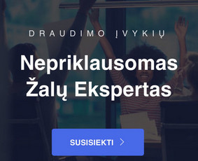 Nepriklausomi Žalų Ekspertai Žalų Administravimas - Buitinės paslaugos Buitinės paslaugos - Nepriklausomi Žalų Ekspertai Žalų Administravimas