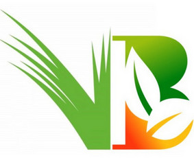 Vejos priežiūra, įrengimas - Vejos įrengimas, apželdinimas.