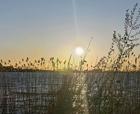 Kvėpavimo pratimai,meditacijos - Ezoteriko konsultacija Ezoteriko konsultacija - Kvėpavimo pratimai,meditacijos