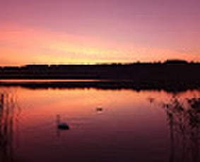 Programuotojai - Internetinių puslapių kūrimas