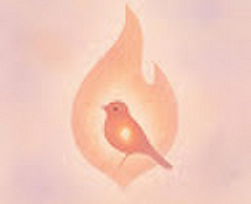 Tarologai - Taro skaitymas