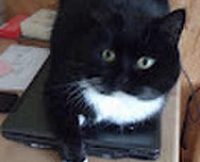 Buitinės paslaugos - Kvieskite santechniką -elektriką į namus