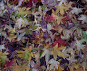 Santechnika - Santechnikai, santechnikos darbai Santechnikai, santechnikos darbai - Santechnika