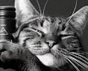 Transportas - Vežu krovinius