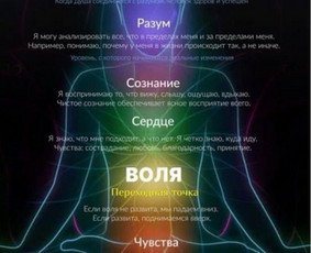 Kineziologinis teipavimas - Терапевтичні та спеціалізовані техніки