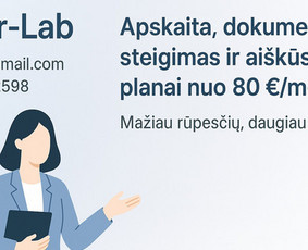 Paslaugos verslui - Įmonių steigimas ir buhalterinė apskaita i&scaron; vienų rankų