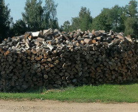 Aplinkos tvarkymas, apželdinimas - Tvarkome privačius miškus