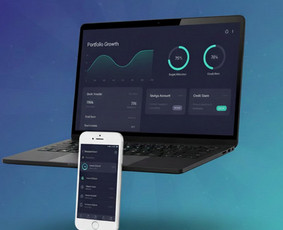 Paslaugos verslui - Interento svetainių, webapp ir mobile app kūrimas