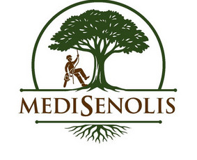 Kelmų naikinimas, frezavimas - Medžių pjovimas, genėjimas, kra&scaron;tovaizdžio priežiūra