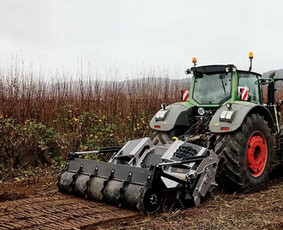 Medžių genėjimas, pjovimas - Aplinkos tvarkymo ir sklypų valymo paslaugos