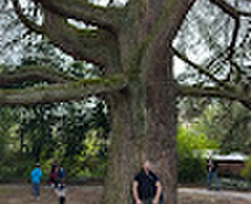 Elektrikai, elektros darbai - Электромонтажные работы