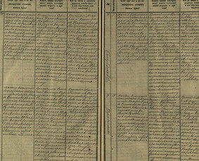 Kitos įvairios paslaugos - Giminės medžio privatūs tyrimai