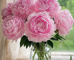 Socialiniai darbuotojai - Pagalba senoliams namuose, asmeninė asistentė