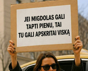 Meistrai į namus - Surinkimas/montavimas baldu ir kiti smulkus darbai