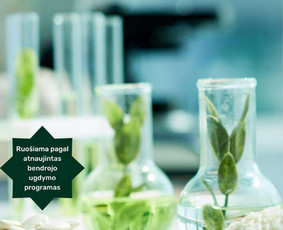 Biologijos korepetitoriai -  Biologijos Vbe 2026&ndash;2027 &ndash; pradėk ruo&scaron;tis jau dabar! 