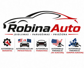 Hibridinių automobilių remontas - Automobilių remontas