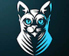 Dainų įra&scaron;ymas - Muzikos kurejas