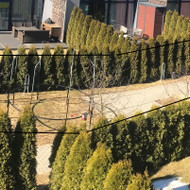 Aplinkos tvarkymas sezono metu