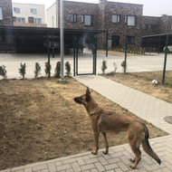 Reikia išlyginti sklypą, užsėti žolę