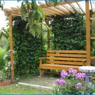 Medinė pergola/ pavėsinė su suoliuku ir pagrindas jai