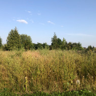 Žolės pjovimas Rumšiškėse, sklypas - 20 arų
